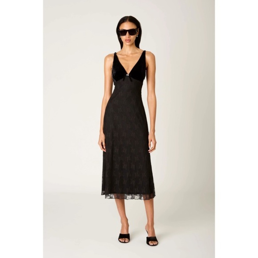 NIA The Brand Guest Black Velvet and Lace Midi Dress Whimsigoth Wedding Formal S - Picture 1 of 10
